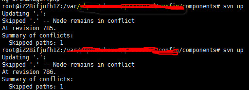 完美解决SVN Skipped ‘xxx’ — Node remains in conflict