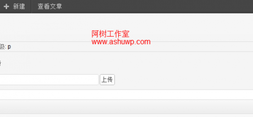 wordpress自定义面板中添加图片上传功能