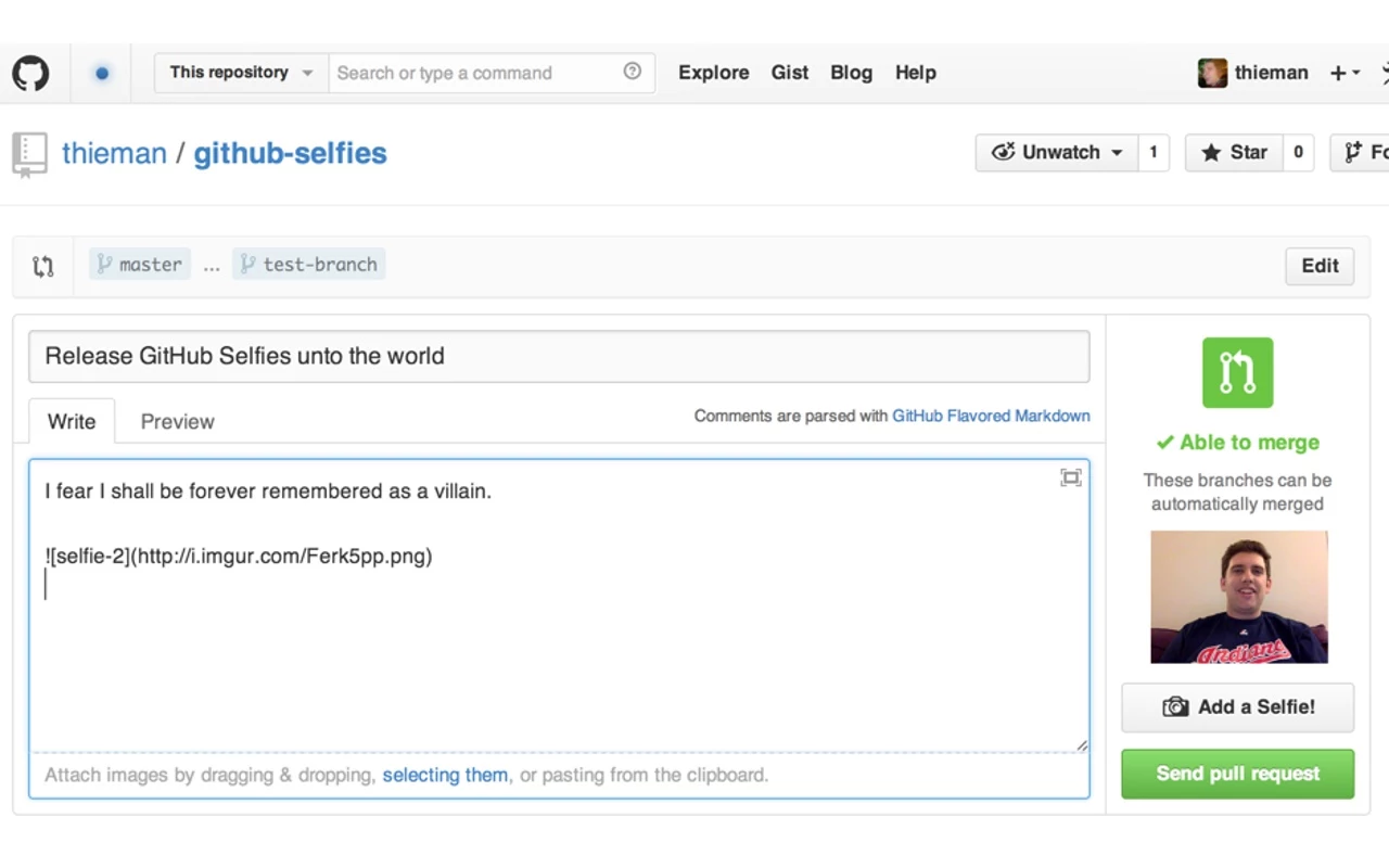 Github 自拍插件 Github Selfies